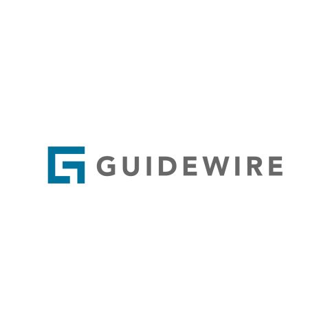 Guidewire 
